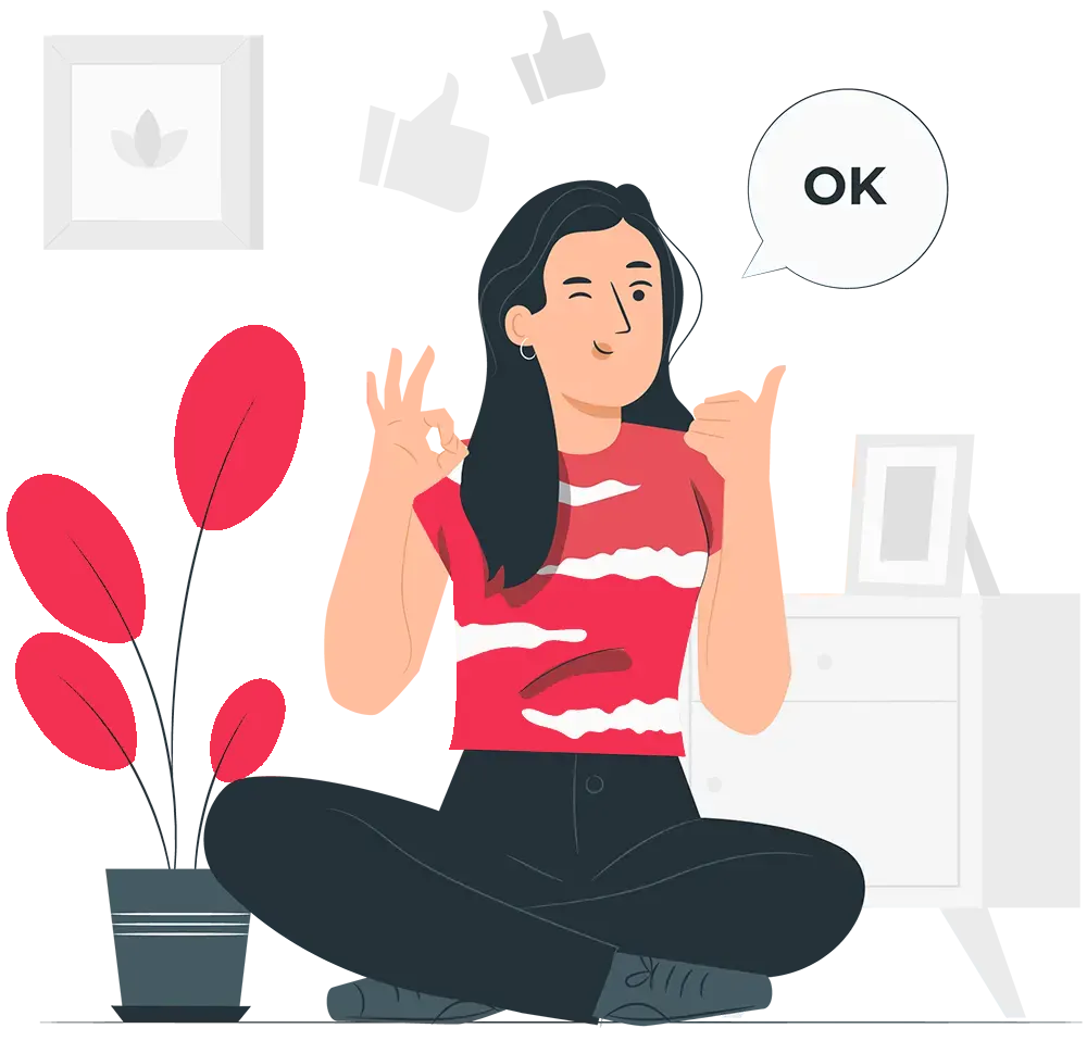 incluido-diseño-web-wordpress-castellon